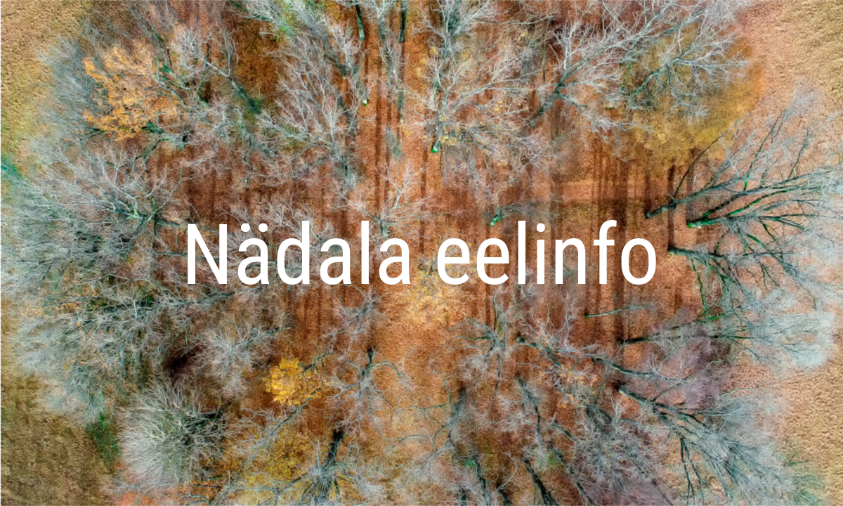 Blank 1200 x 720 copy 5